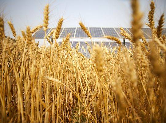 Dofinansowania dla rolnictwa w odnawialne źródła energetyczne
